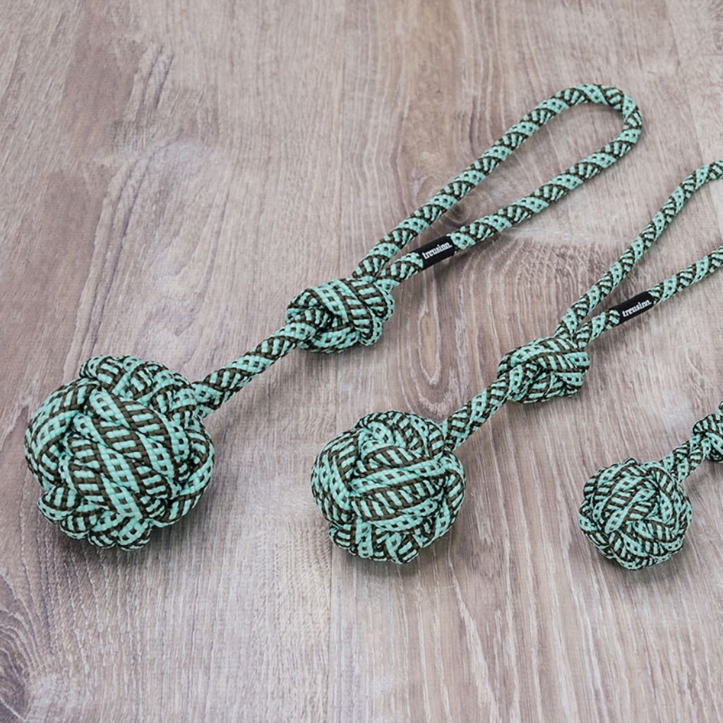 Treusinn-Hundespielzeug-Bolly-Ocean-2