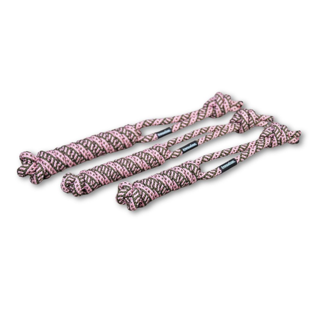 Treusinn-Hundespielzeug-Spiely-Blossom