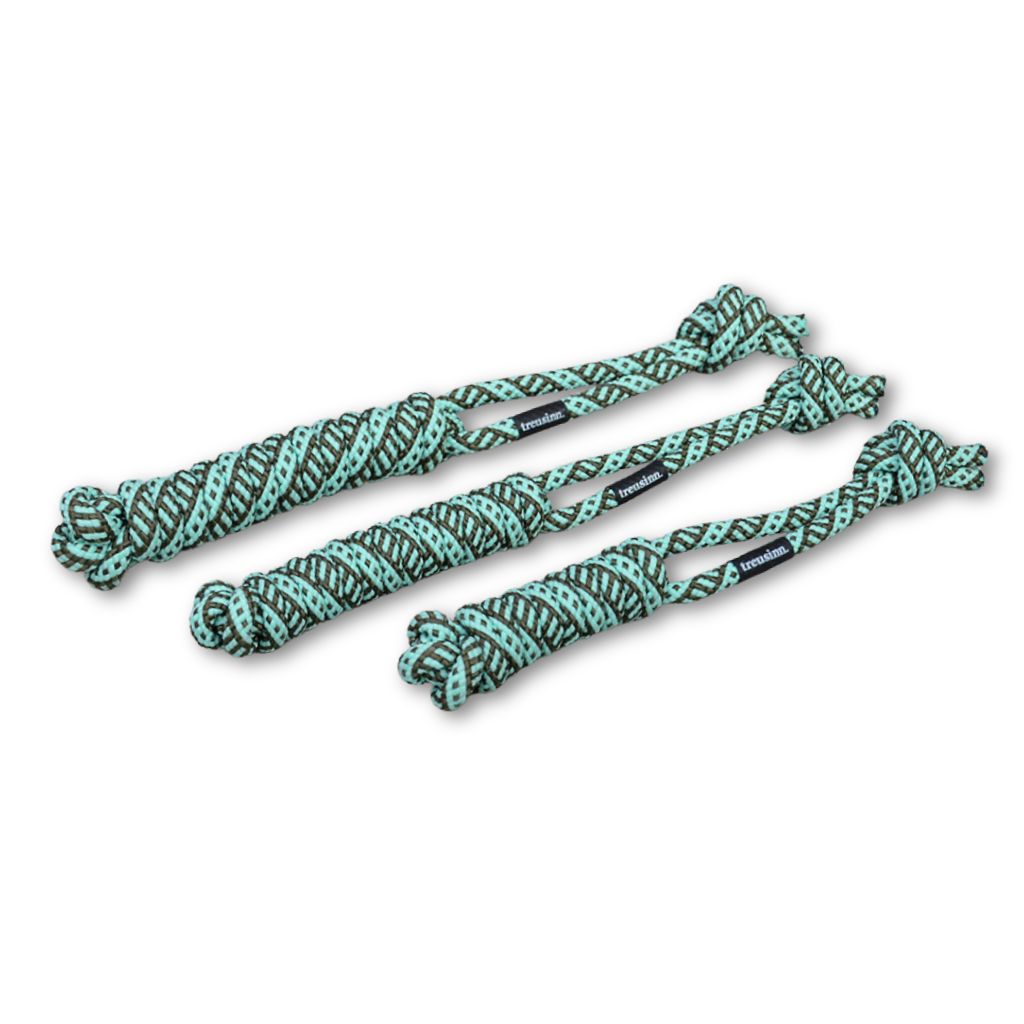 Treusinn-Hundespielzeug-Spiely-Ocean