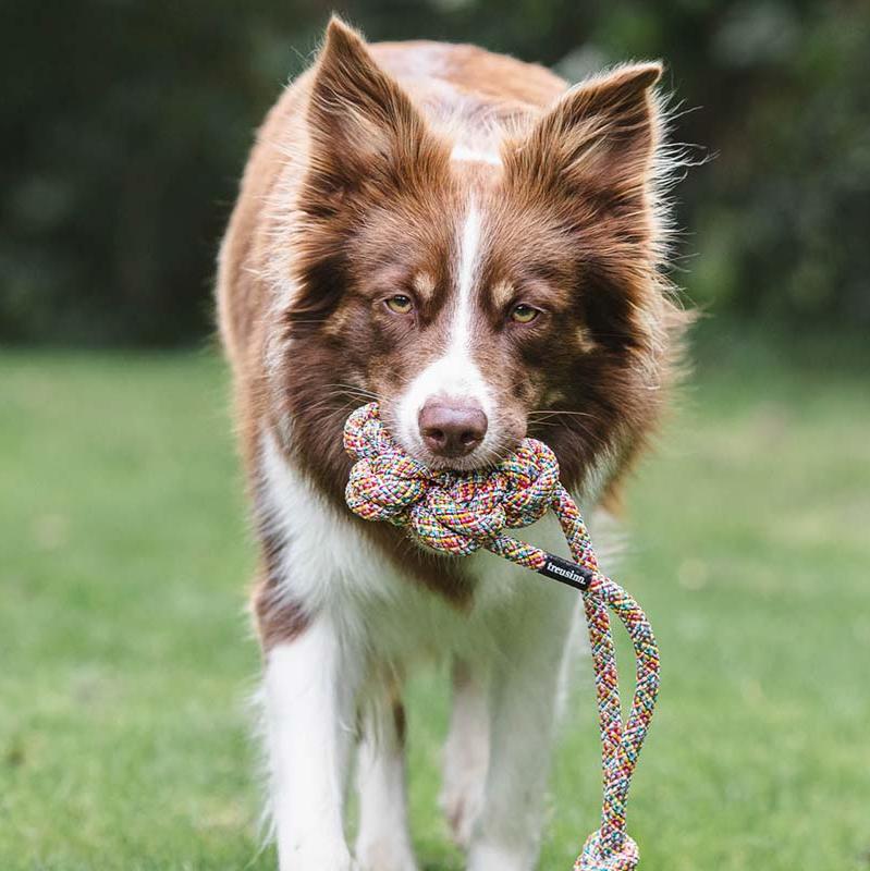 Treusinn-Tau-Spielzeug-Bloomy-Rainbow-Hund2
