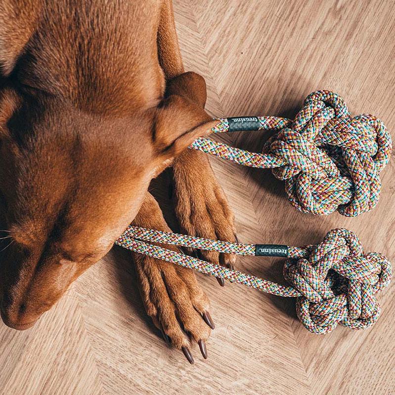 Treusinn-Tau-Spielzeug-Bloomy-Rainbow-Hund3