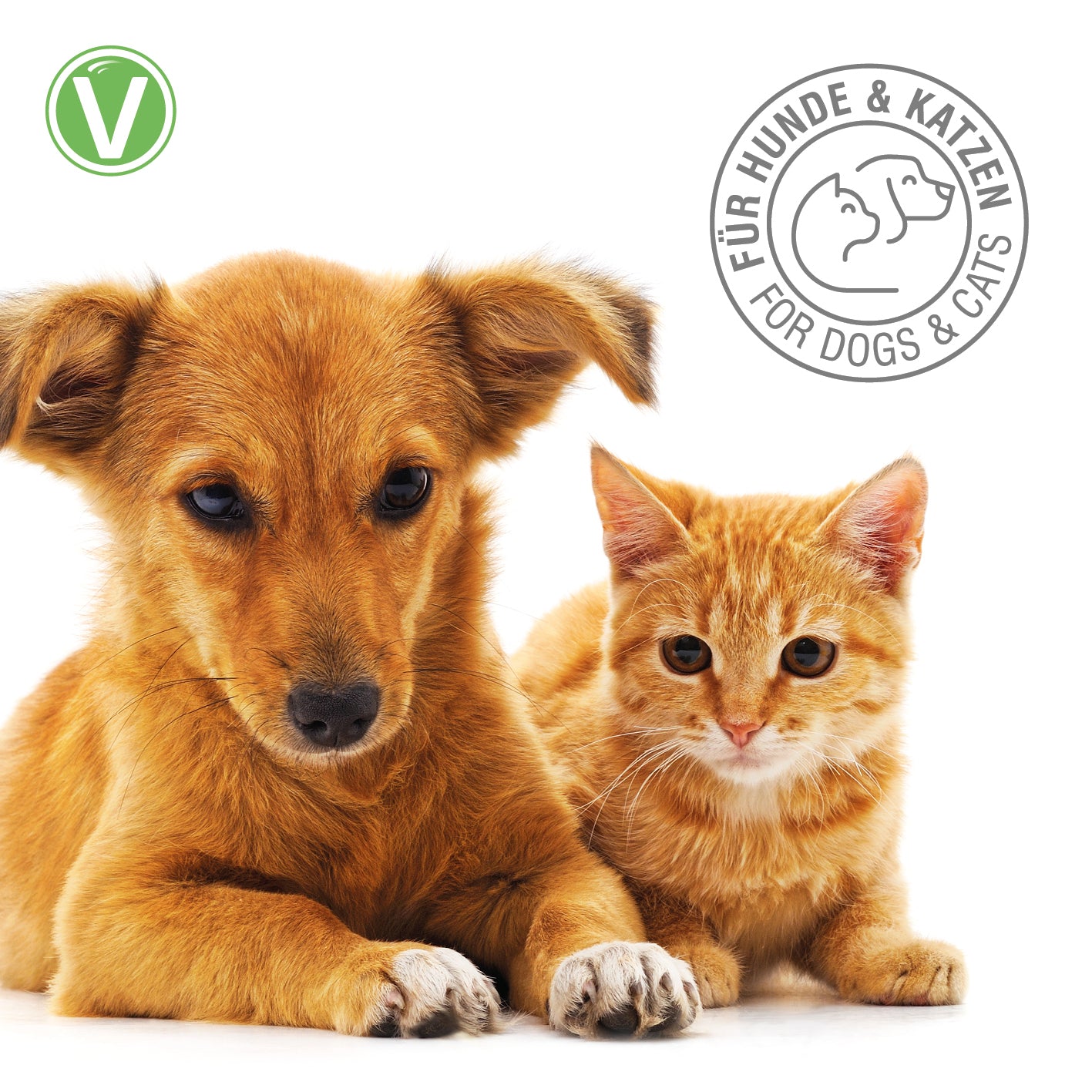 Vetlando-Citrolyptus-Shampoo-4
