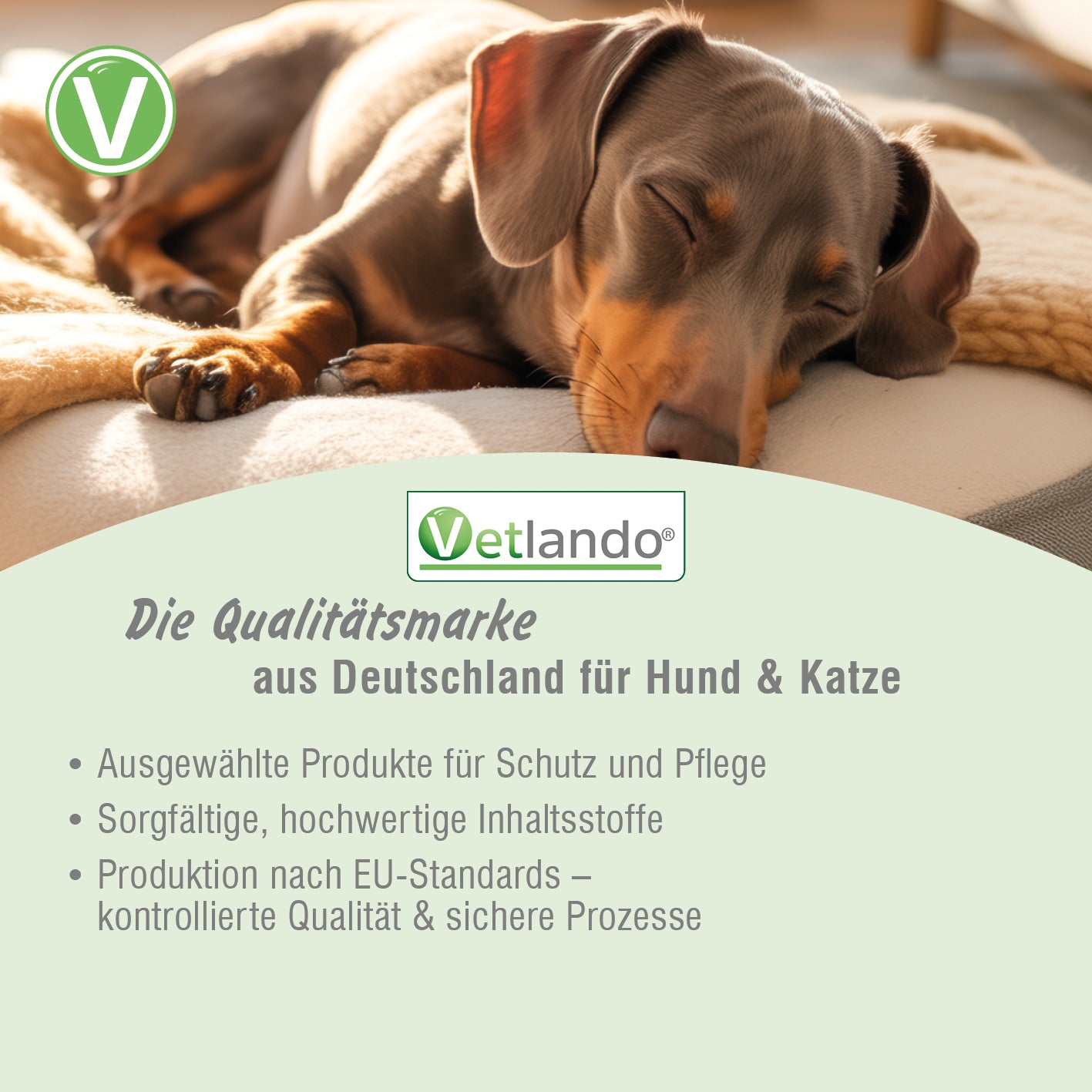 Vetlando-Citrolyptus-Umgebungsspray-7