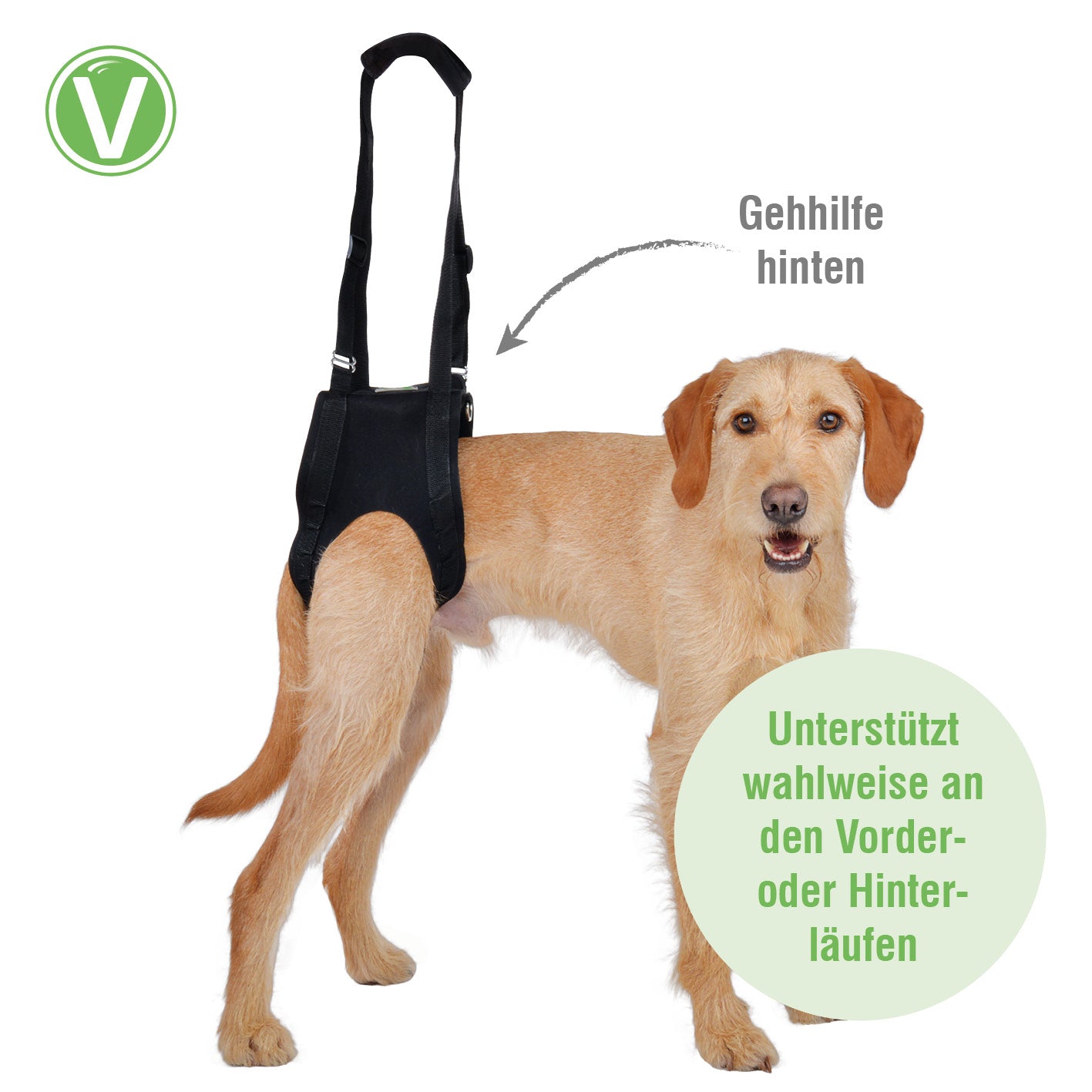 Vetlando-Gehhilfe-2