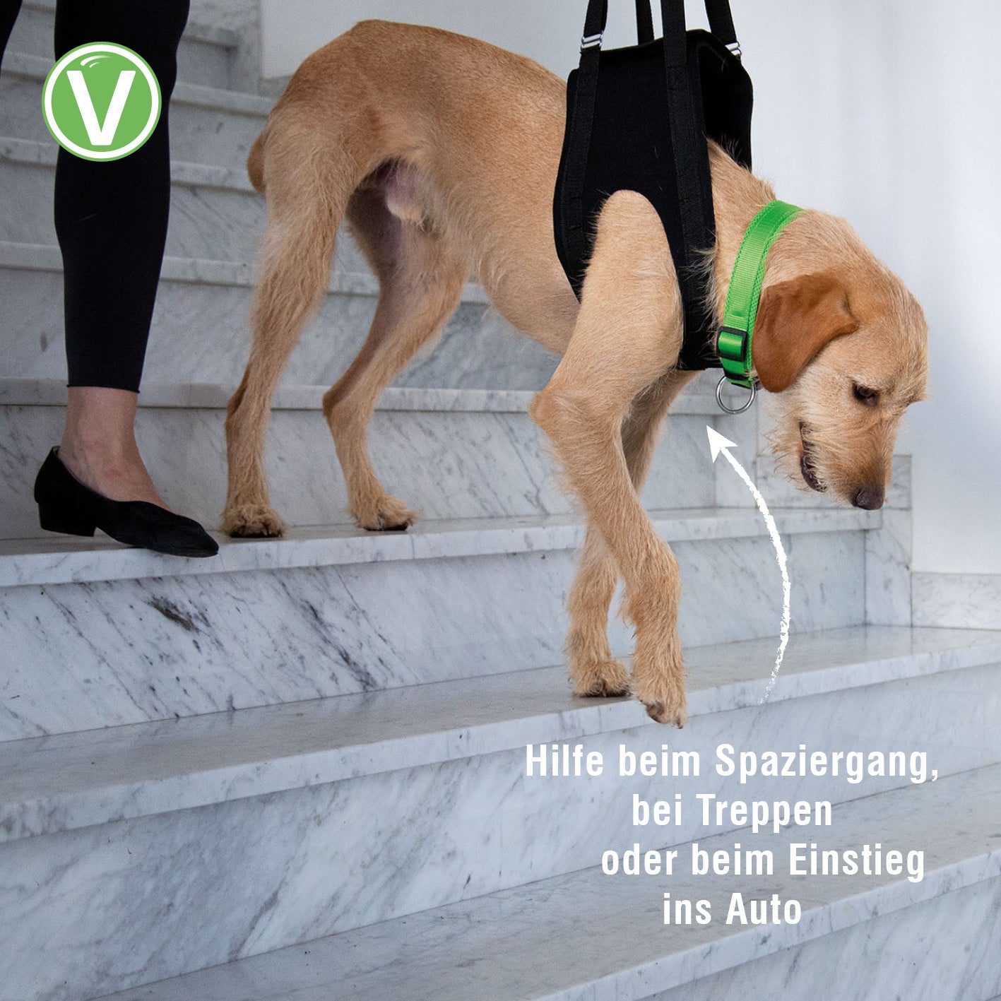 Vetlando-Gehhilfe-6