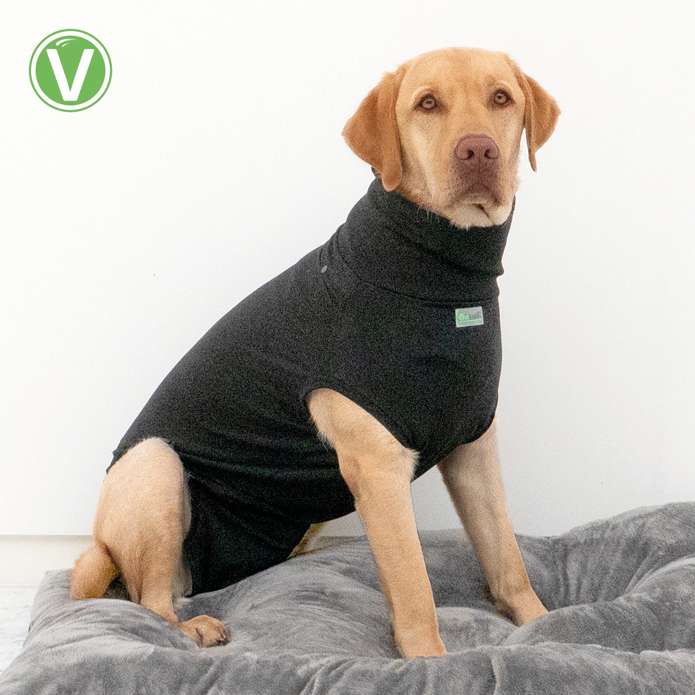 Vetlando-Post-OP-Body-10