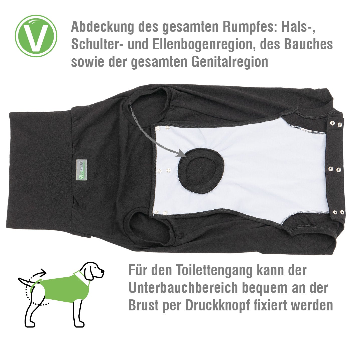 Vetlando-Post-OP-Body-4