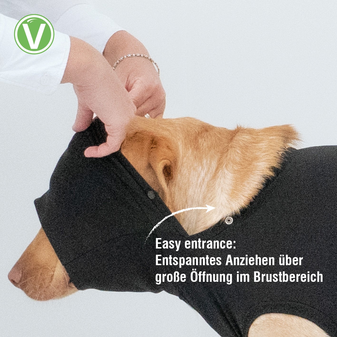 Vetlando-Post-OP-Body-6