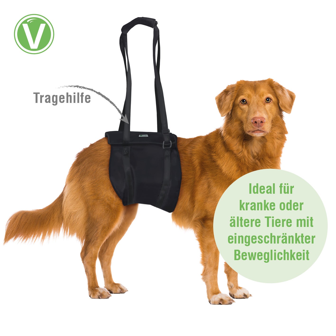 Vetlando-Tragehilfe4