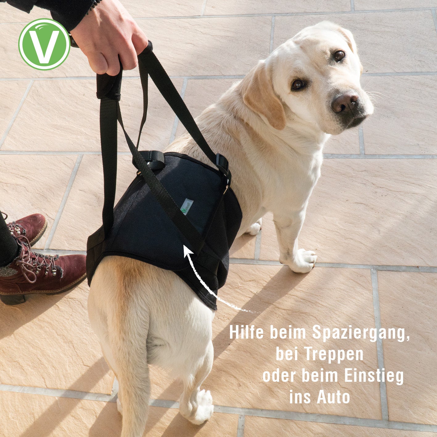 Vetlando-Tragehilfe-6