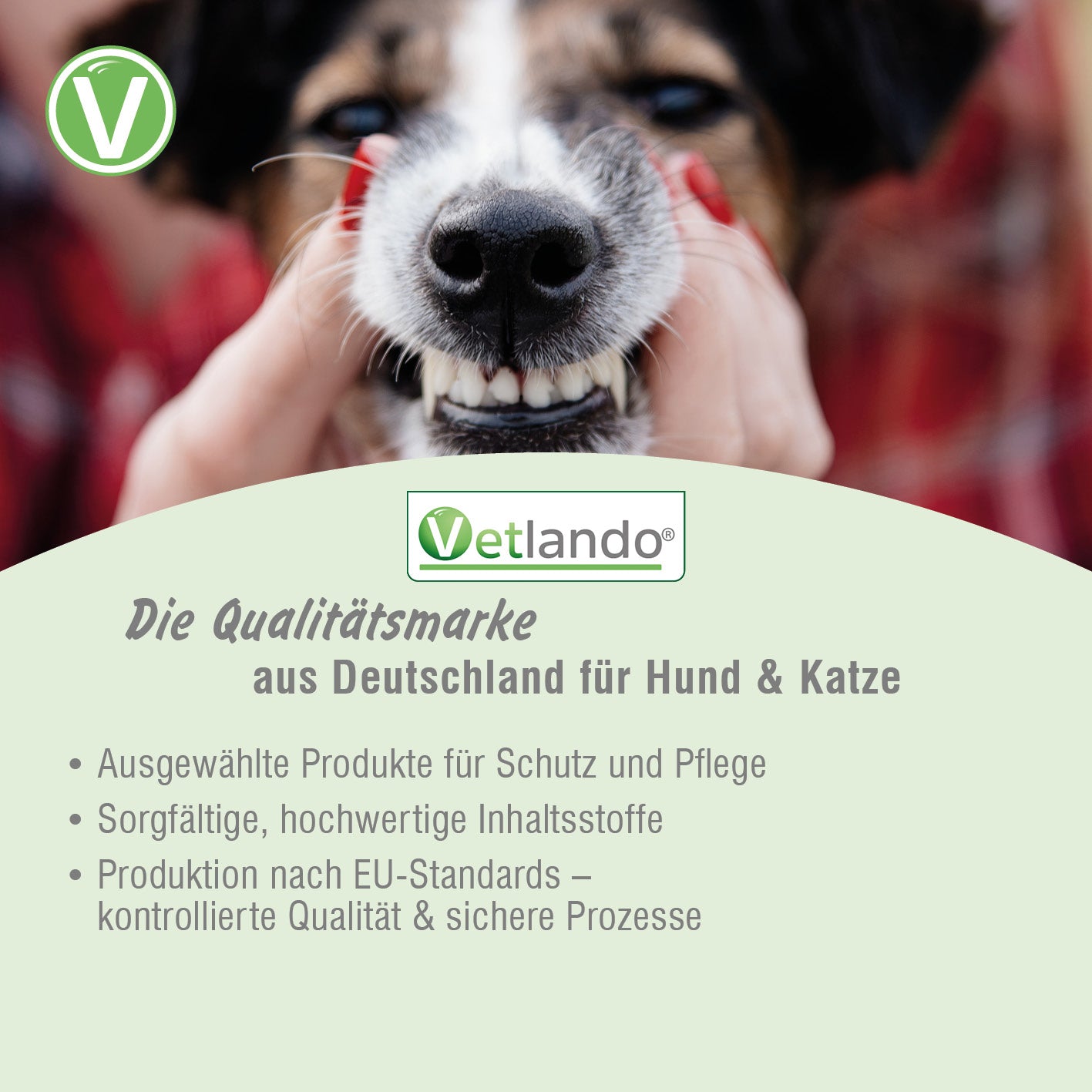 Vetlando-Zahnpflege-6