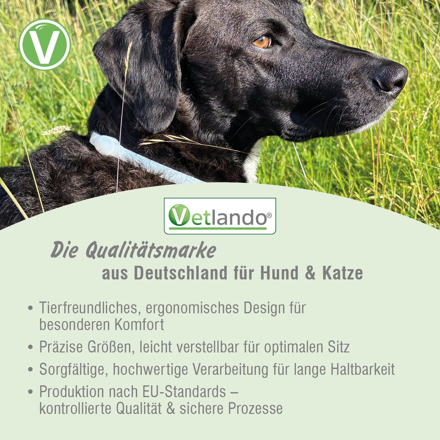 Vetlando-Zecken-Floh-Halsband-Kokolaurin-Hunde