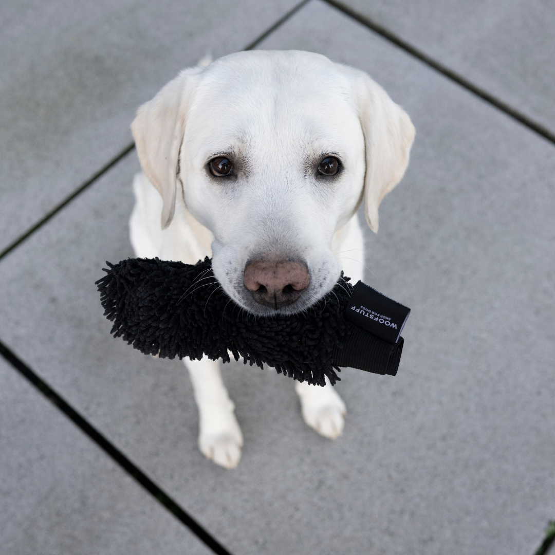 WOOFSTUFF-Hunde-Trockenhandschuh-Quick-Dry-Anthrazit-Hund
