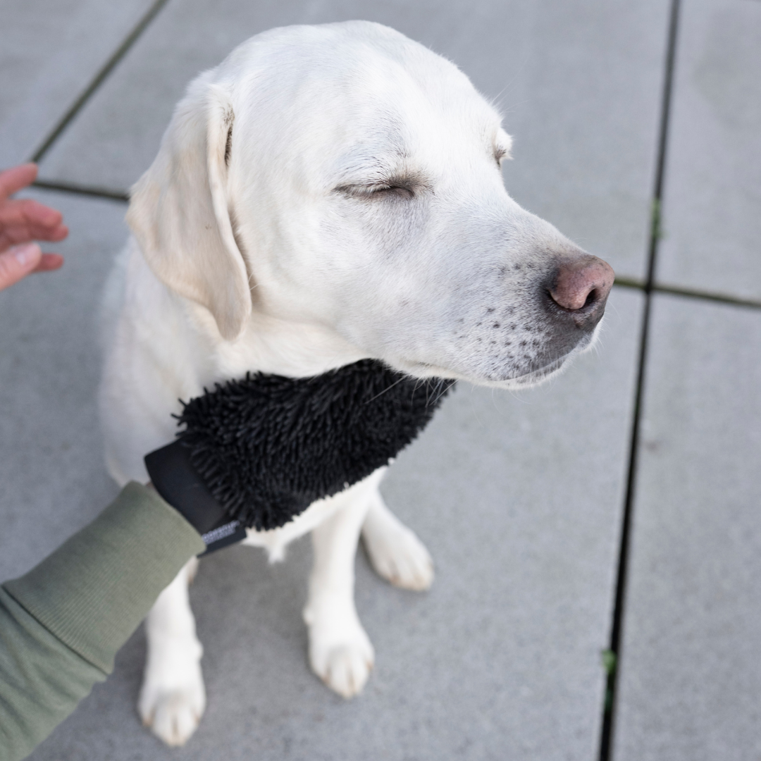 WOOFSTUFF-Hunde-Trockenhandschuh-Quick-Dry-Anthrazit-Hund2