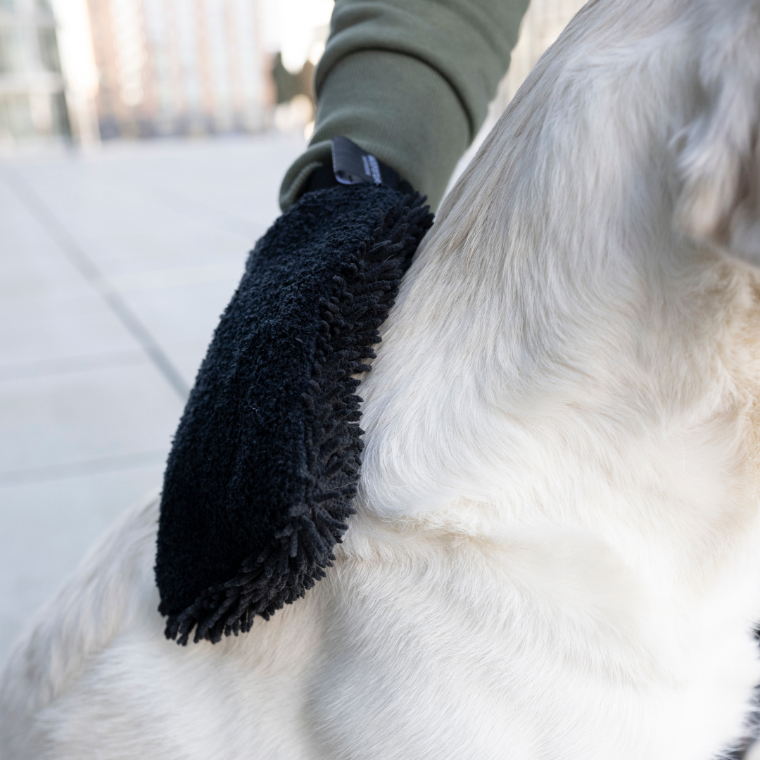 WOOFSTUFF-Hunde-Trockenhandschuh-Quick-Dry-Anthrazit-Mood