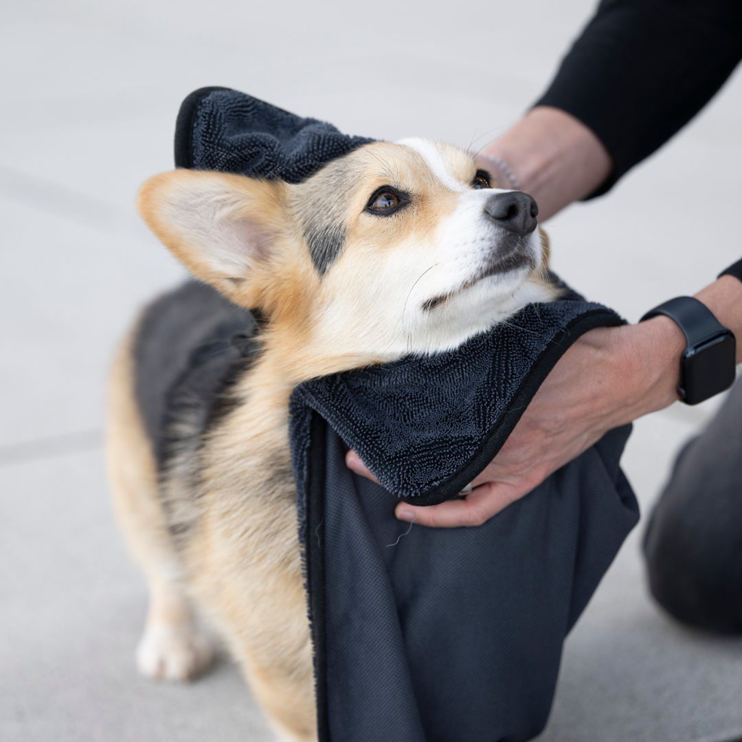 WOOFSTUFF-Hundehandtuch-Super-Flor-Turbo-Dry-Anthrazit-Corgy