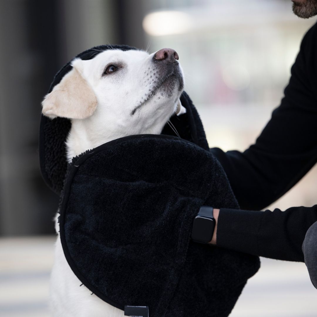 WOOFSTUFF-Hundehandtuch-Ultra-Dry-Comfort-Anthrazit