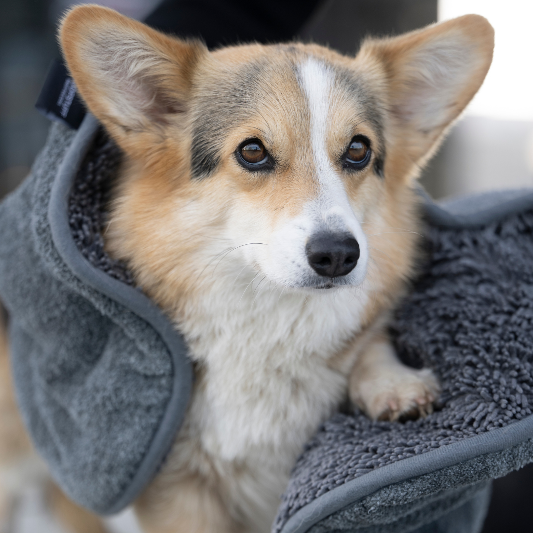 WOOFSTUFF-Hundehandtuch-Ultra-Dry-Comfort-Graphit-Detail2