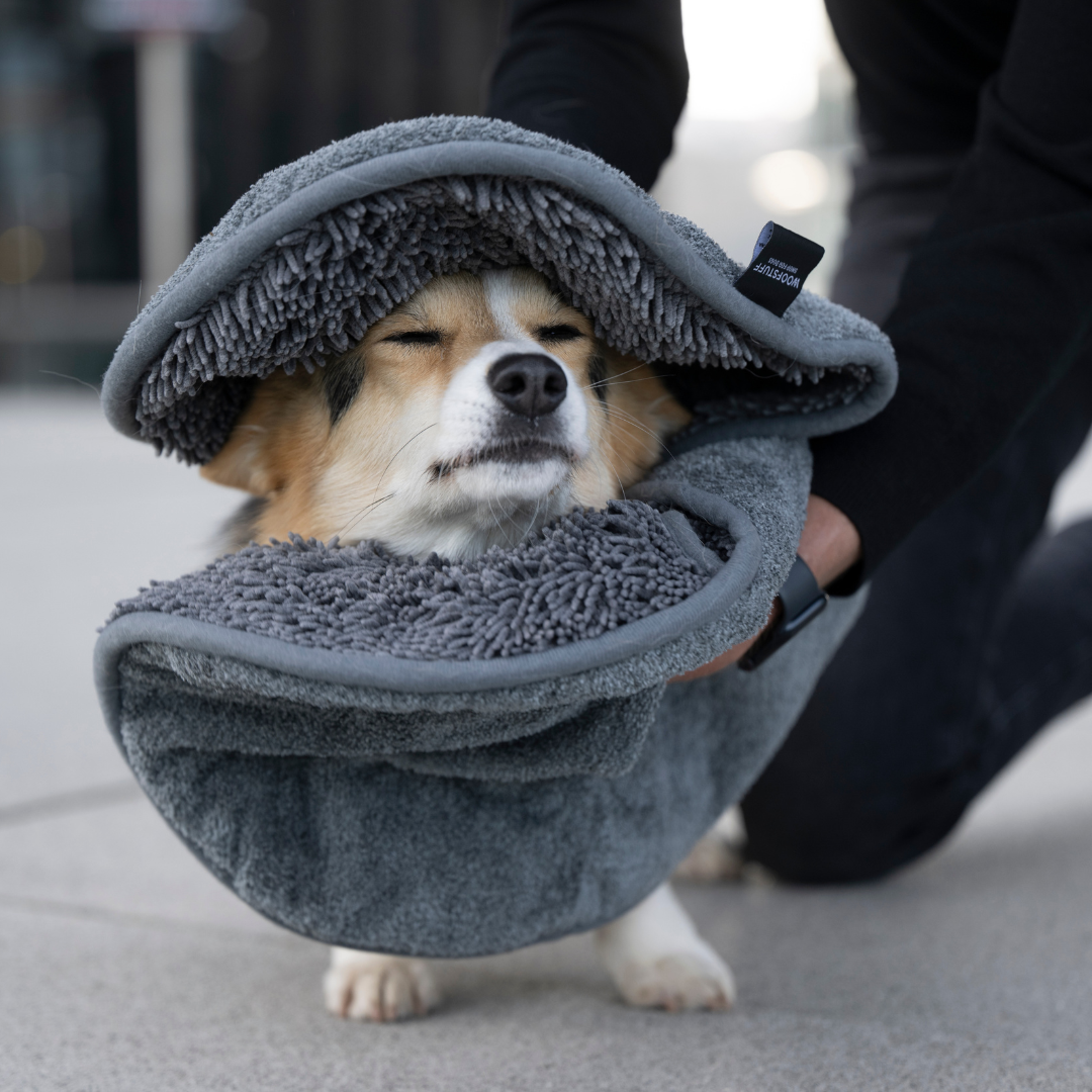 WOOFSTUFF-Hundehandtuch-Ultra-Dry-Comfort-Graphit-Mood
