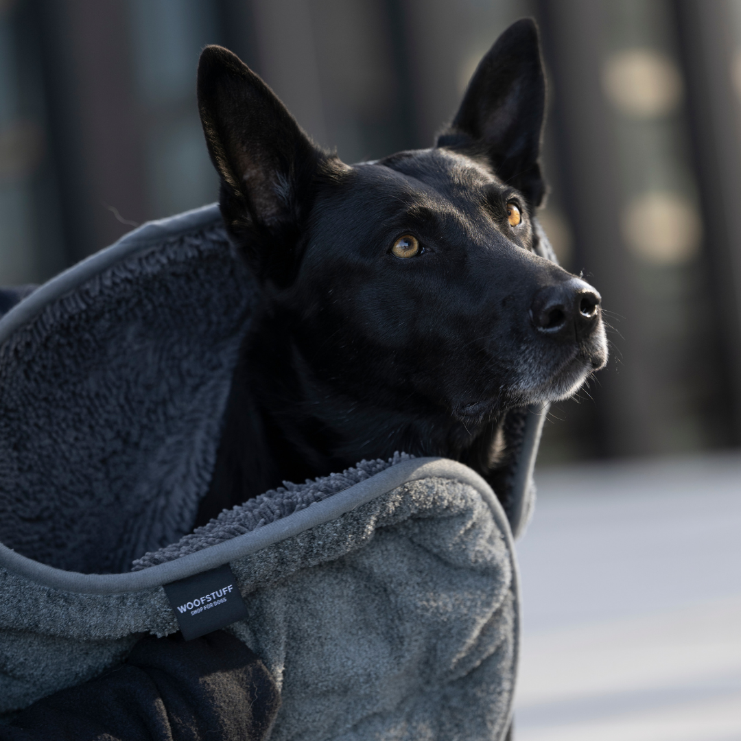 WOOFSTUFF-Hundehandtuch-Ultra-Dry-Comfort-Graphit-Mood2