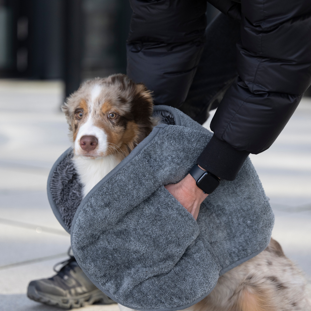 WOOFSTUFF-Hundehandtuch-Ultra-Dry-Comfort-Graphit-Mood3