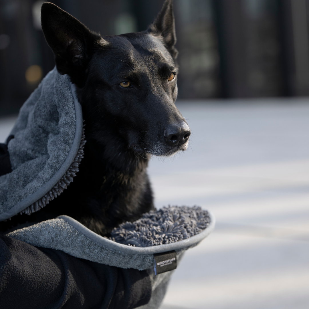 WOOFSTUFF-Hundehandtuch-Ultra-Dry-Comfort-Graphit-Mood4