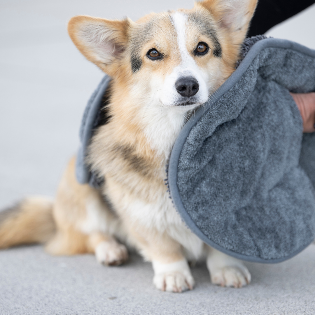 WOOFSTUFF-Hundehandtuch-Ultra-Dry-Comfort-Graphit-Mood5