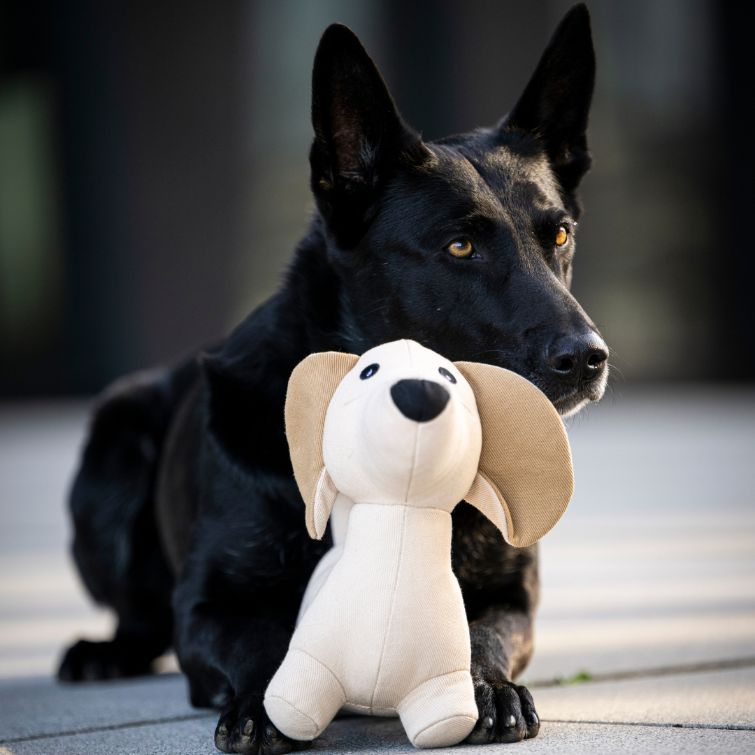 WOOFSTUFF-Hundespielzeug-Dackel-Pepe-L
