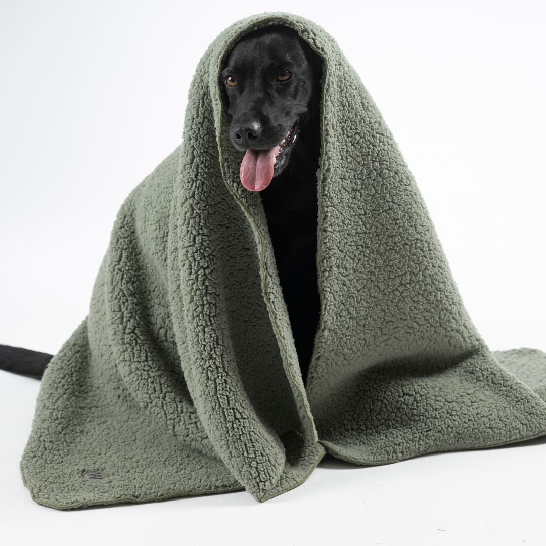 Woofstuff-Hundedecke-Teddy-Soft-Olive-Hund2
