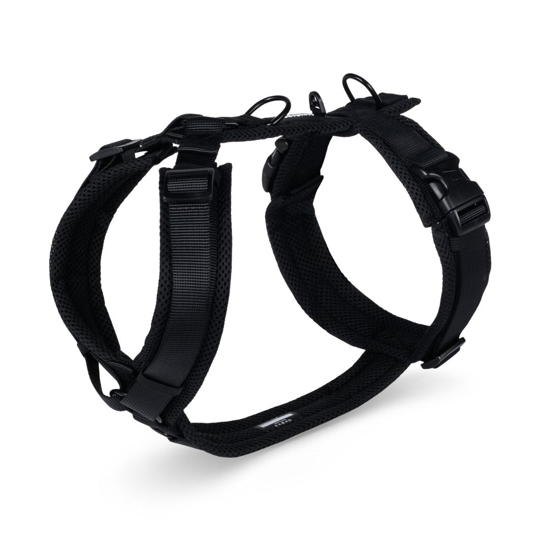 Y-Hundegeschirr Nova Black
