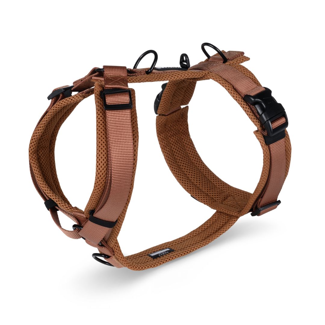Y-Hundegeschirr Nova Cognac