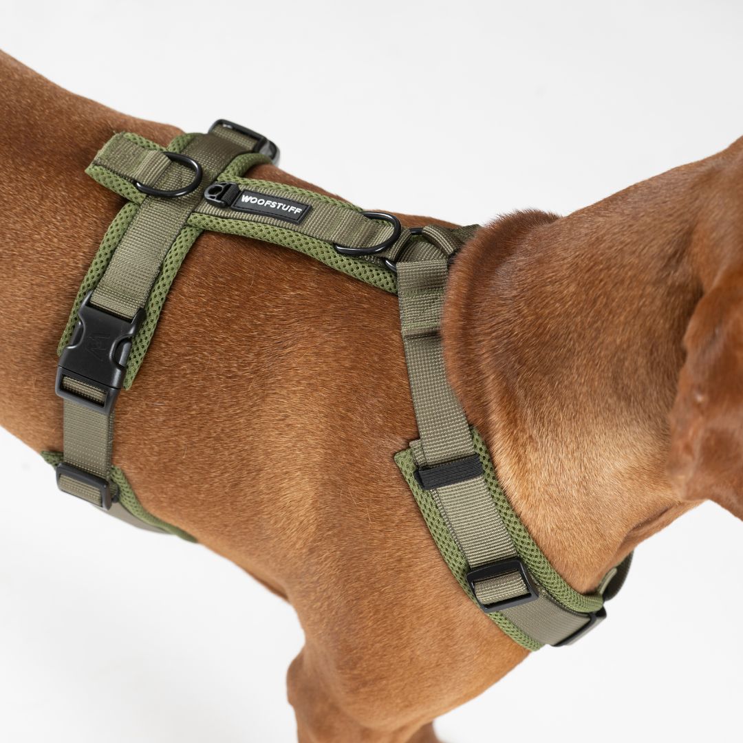 Y-Hundegeschirr Nova Olive