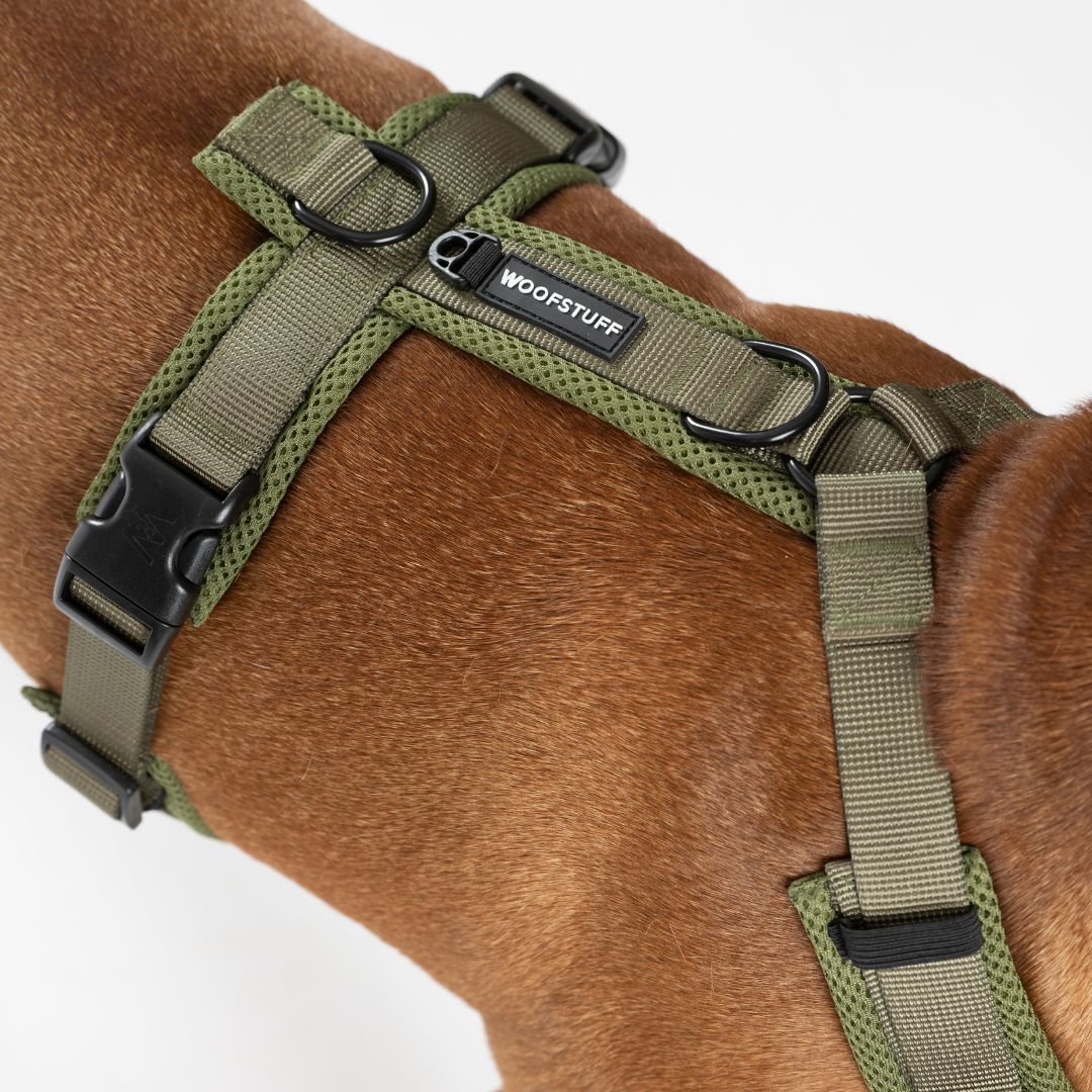 Y-Hundegeschirr Nova Olive