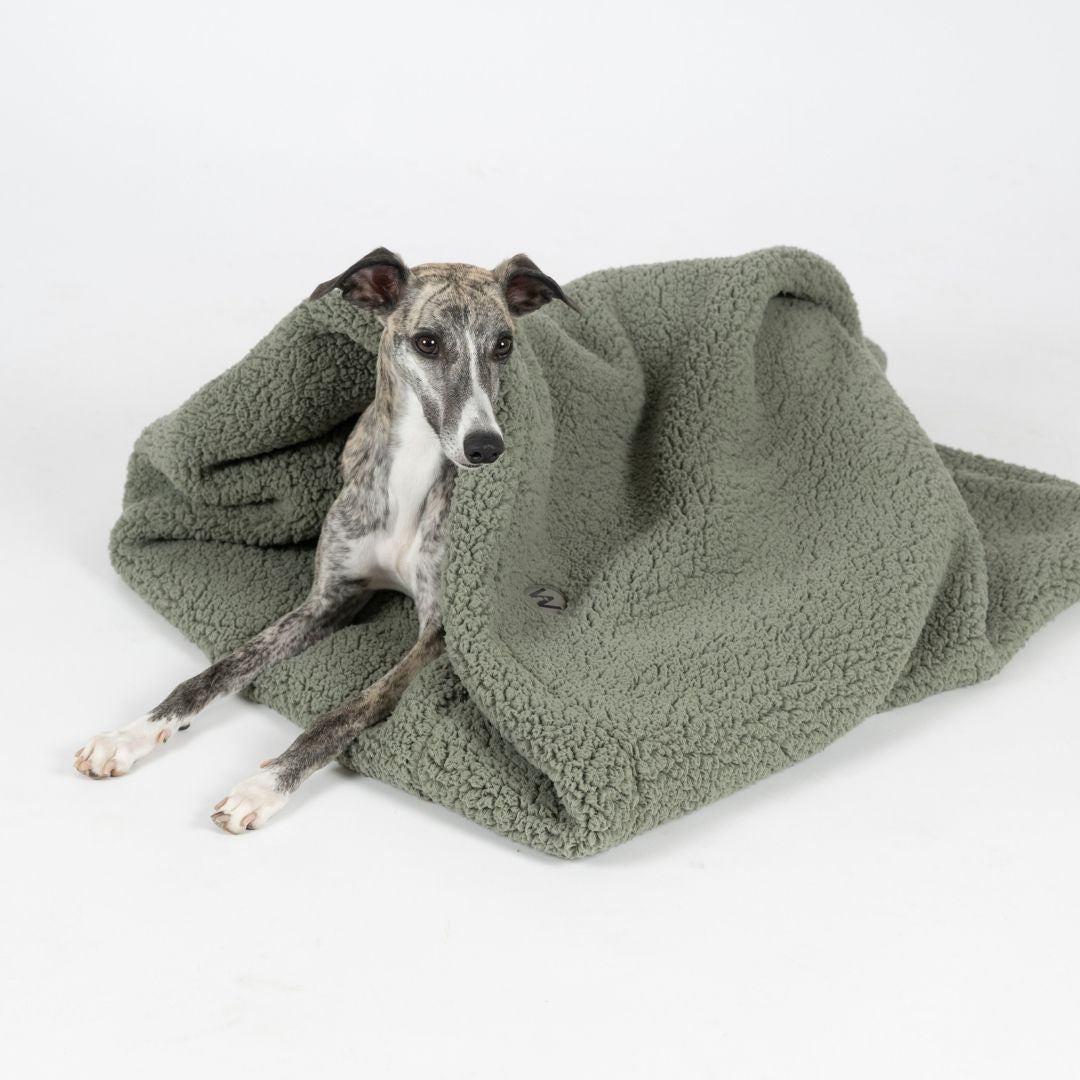 Woofstuff-Hundeschlafsack-Teddy-Soft-Olive-Hund-4