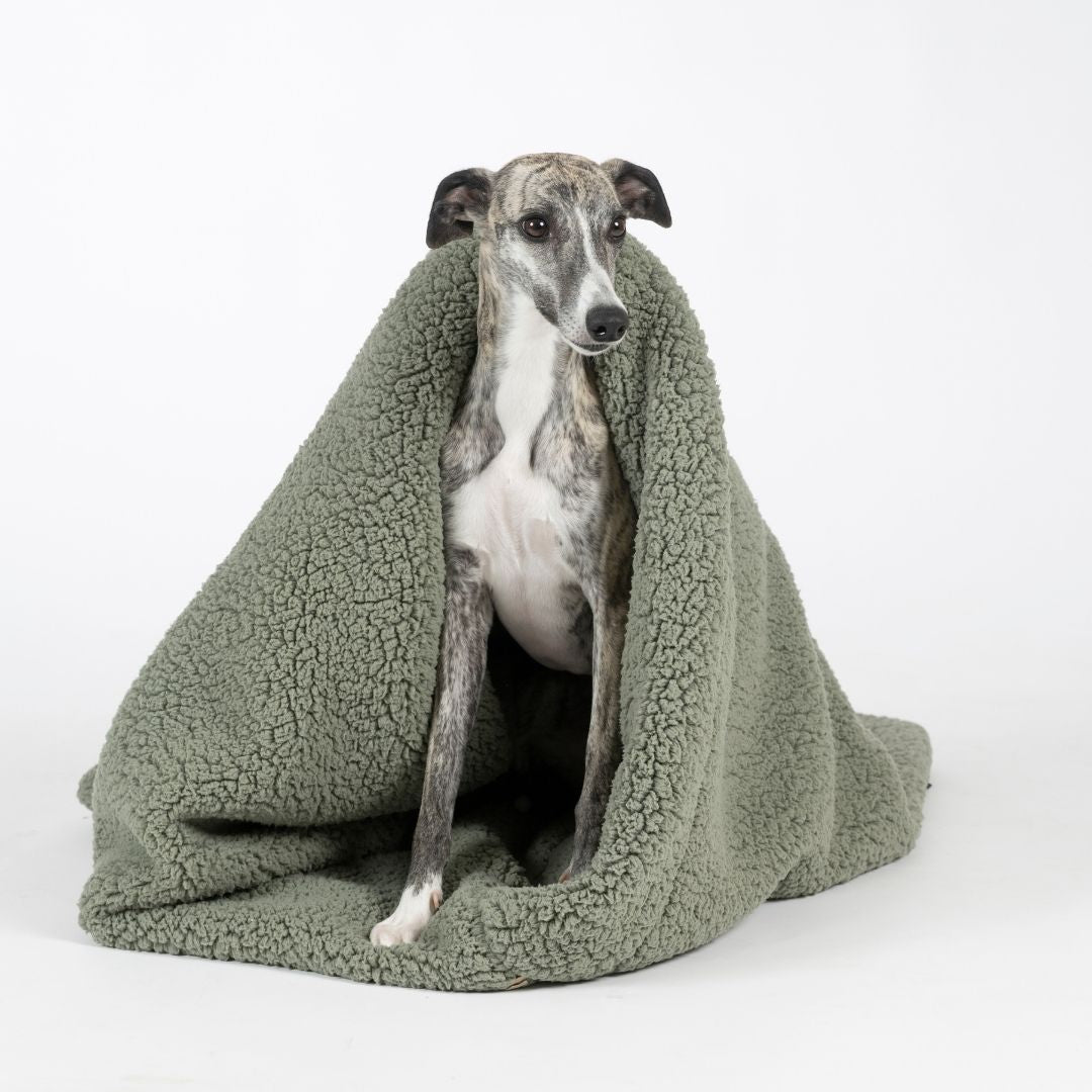 Woofstuff-Hundeschlafsack-Teddy-Soft-Olive-Hund-6