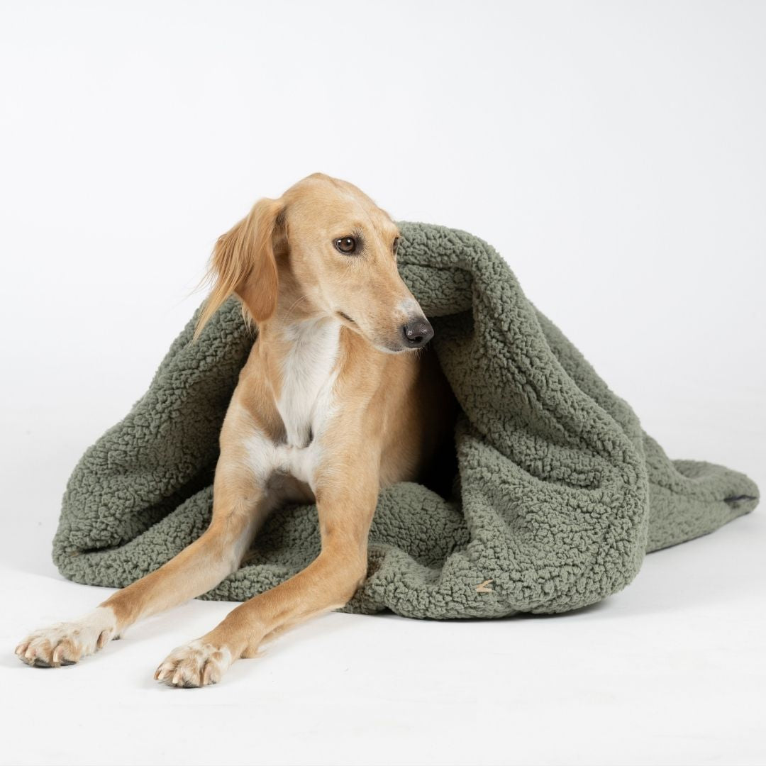 Woofstuff-Hundeschlafsack-Teddy-Soft-Olive-Hund-7