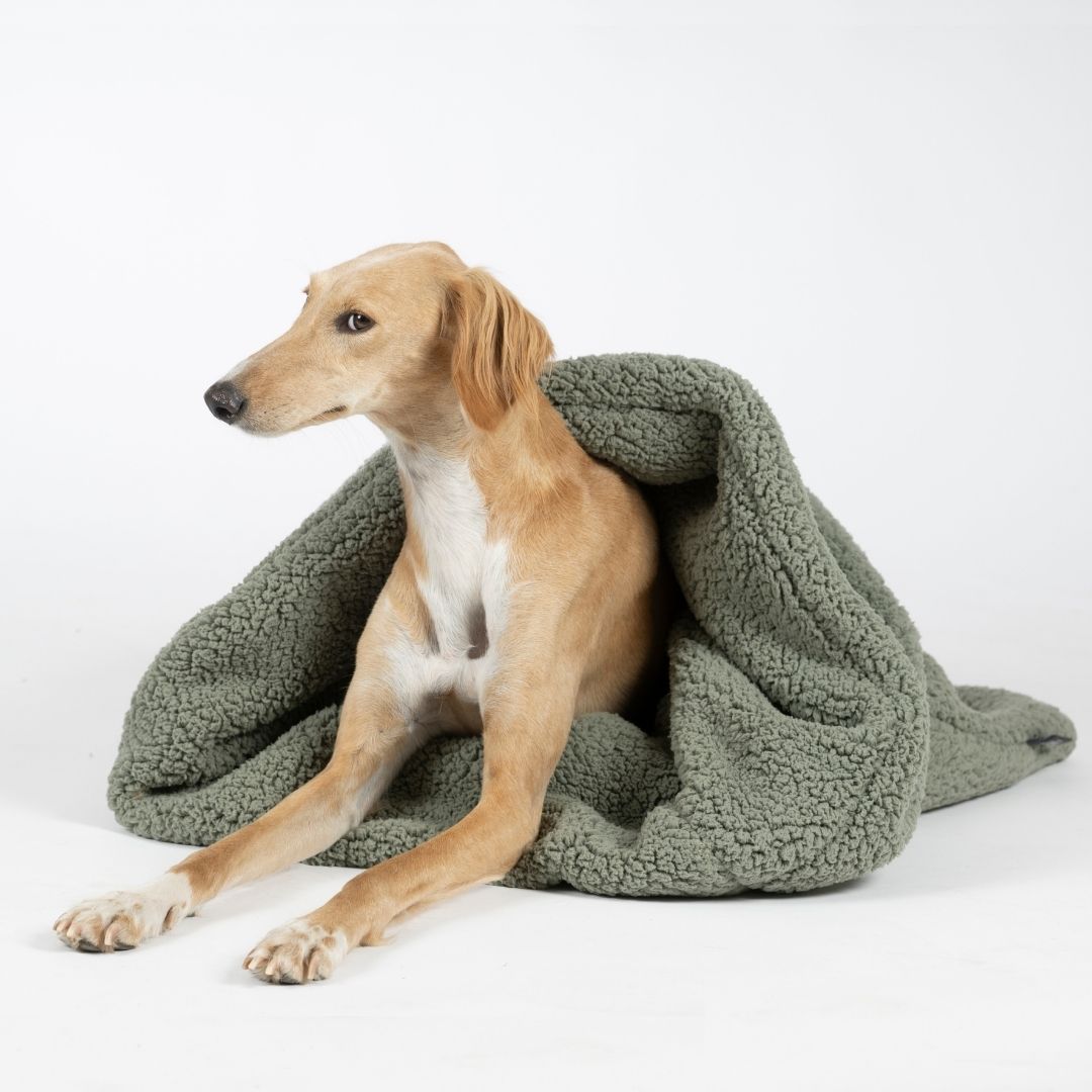Woofstuff-Hundeschlafsack-Teddy-Soft-Olive-Hund