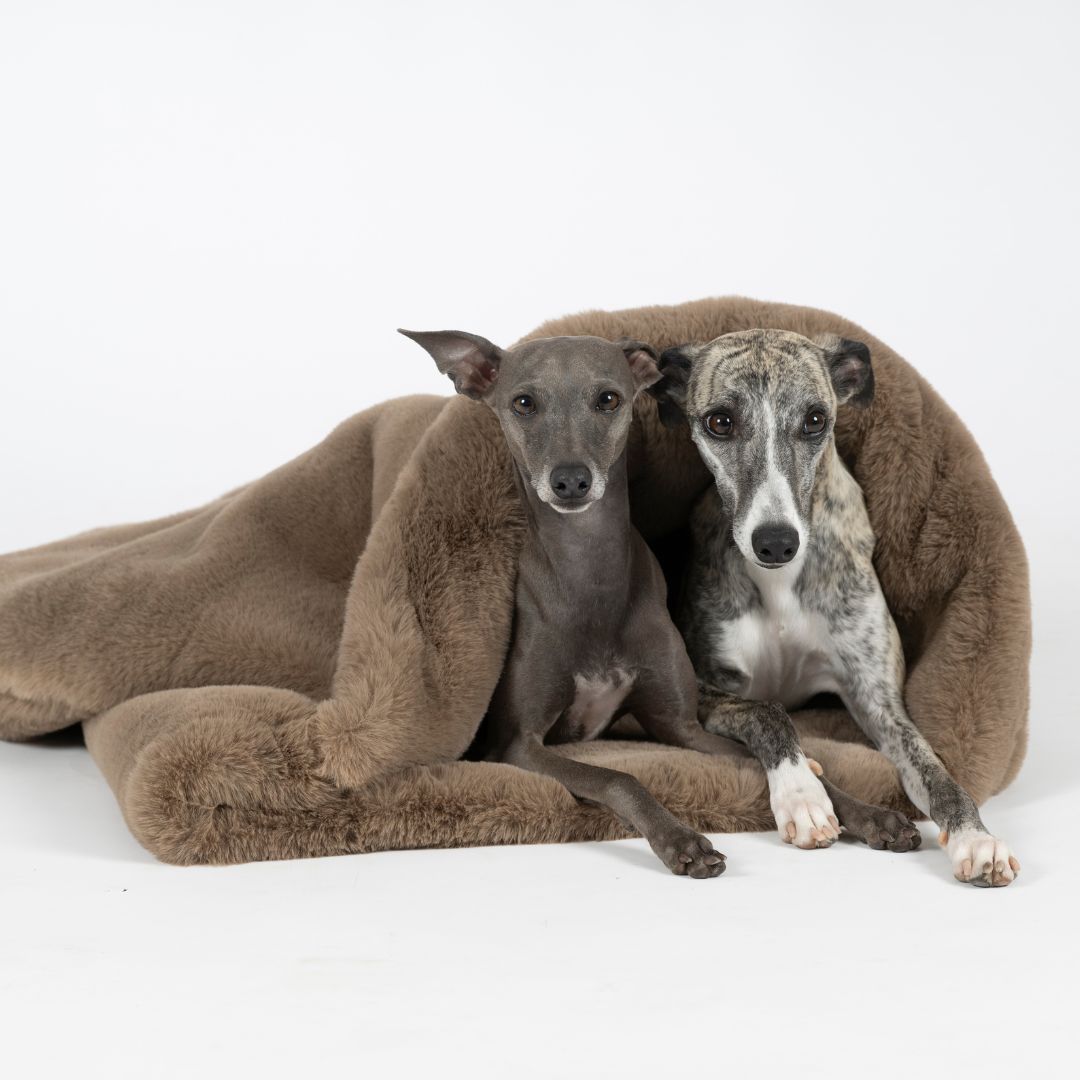 Woofstuff-Kuschelschlafsack-Fluffy-Taupe-Hund3