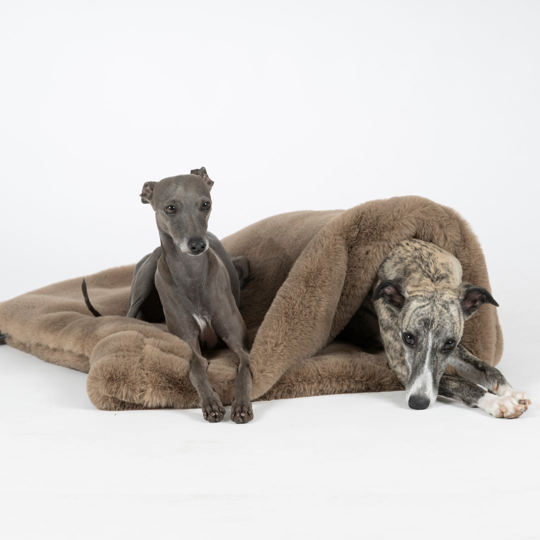 Woofstuff-Kuschelschlafsack-Fluffy-Taupe-Hund6