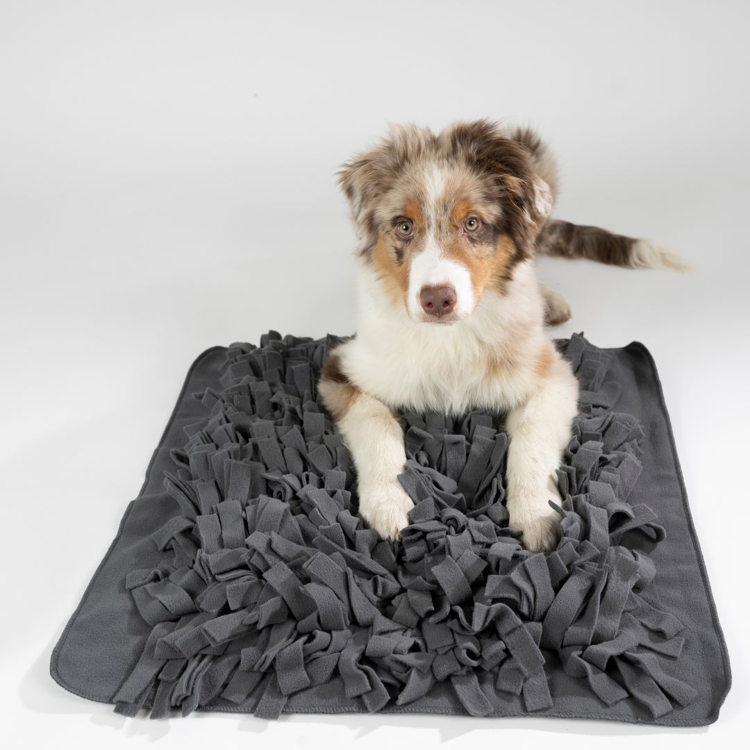 Woofstuff-Schnüffelteppich-Heaven-Hund