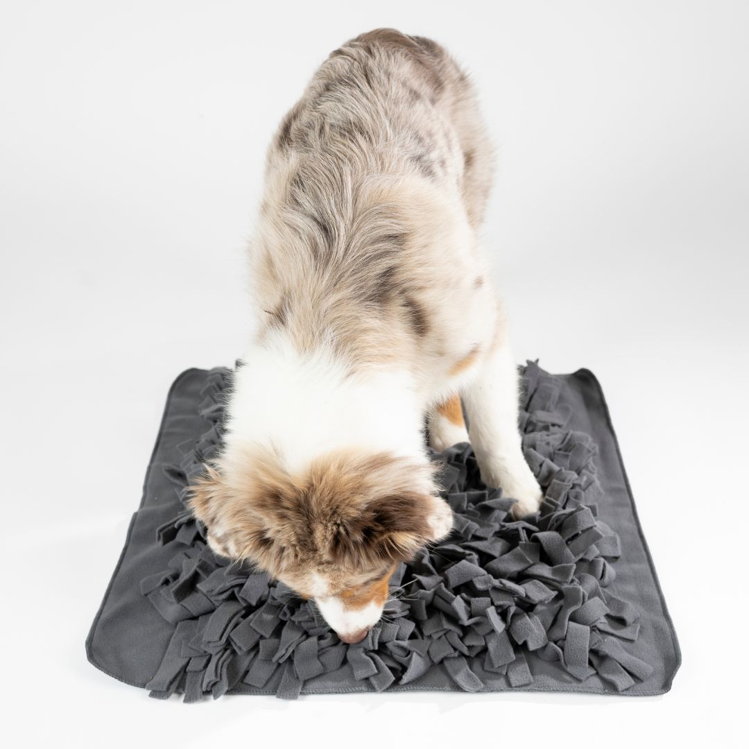 Woofstuff-Schnüffelteppich-Heaven-Hund4