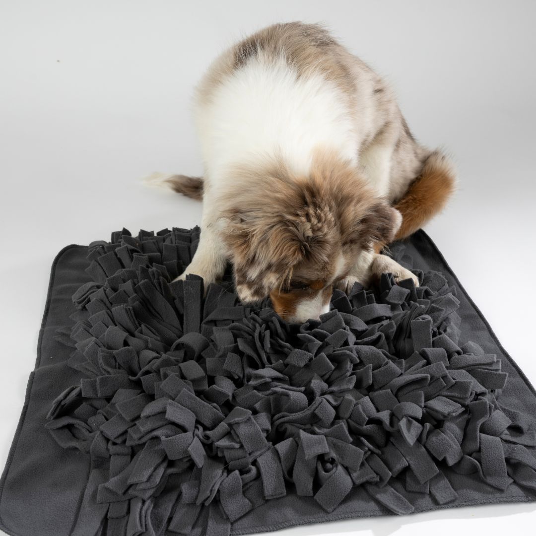 Woofstuff-Schnüffelteppich-Heaven-Hund5