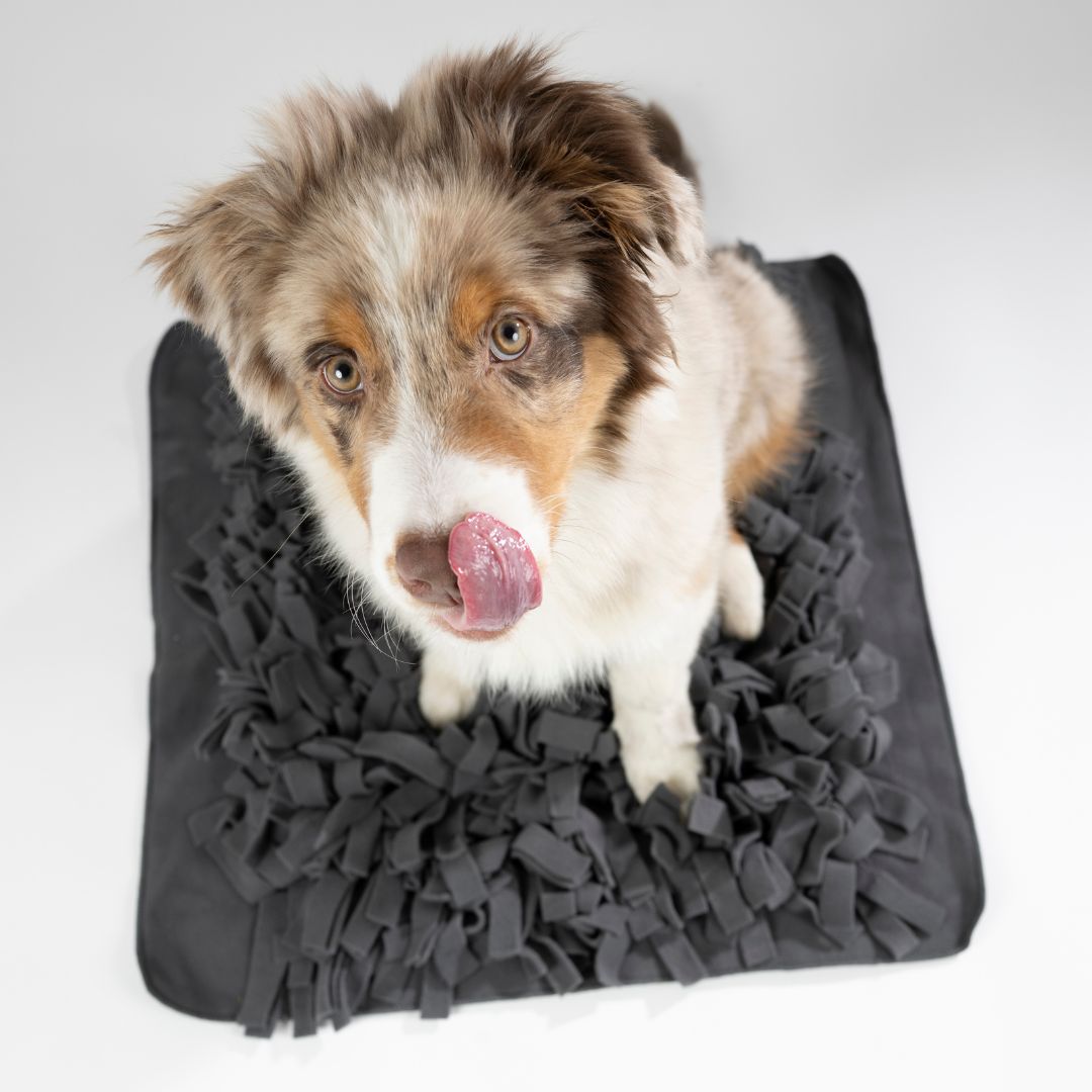 Woofstuff-Schnüffelteppich-Heaven-Hund6