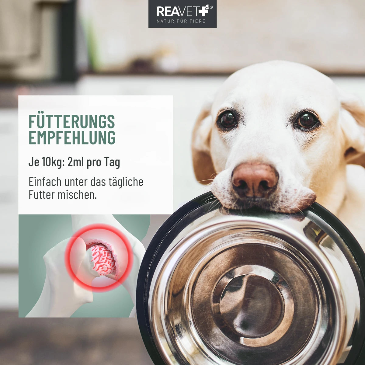 ReaVet-Arthro-Gelenköl-Fütterungsempfehlung
