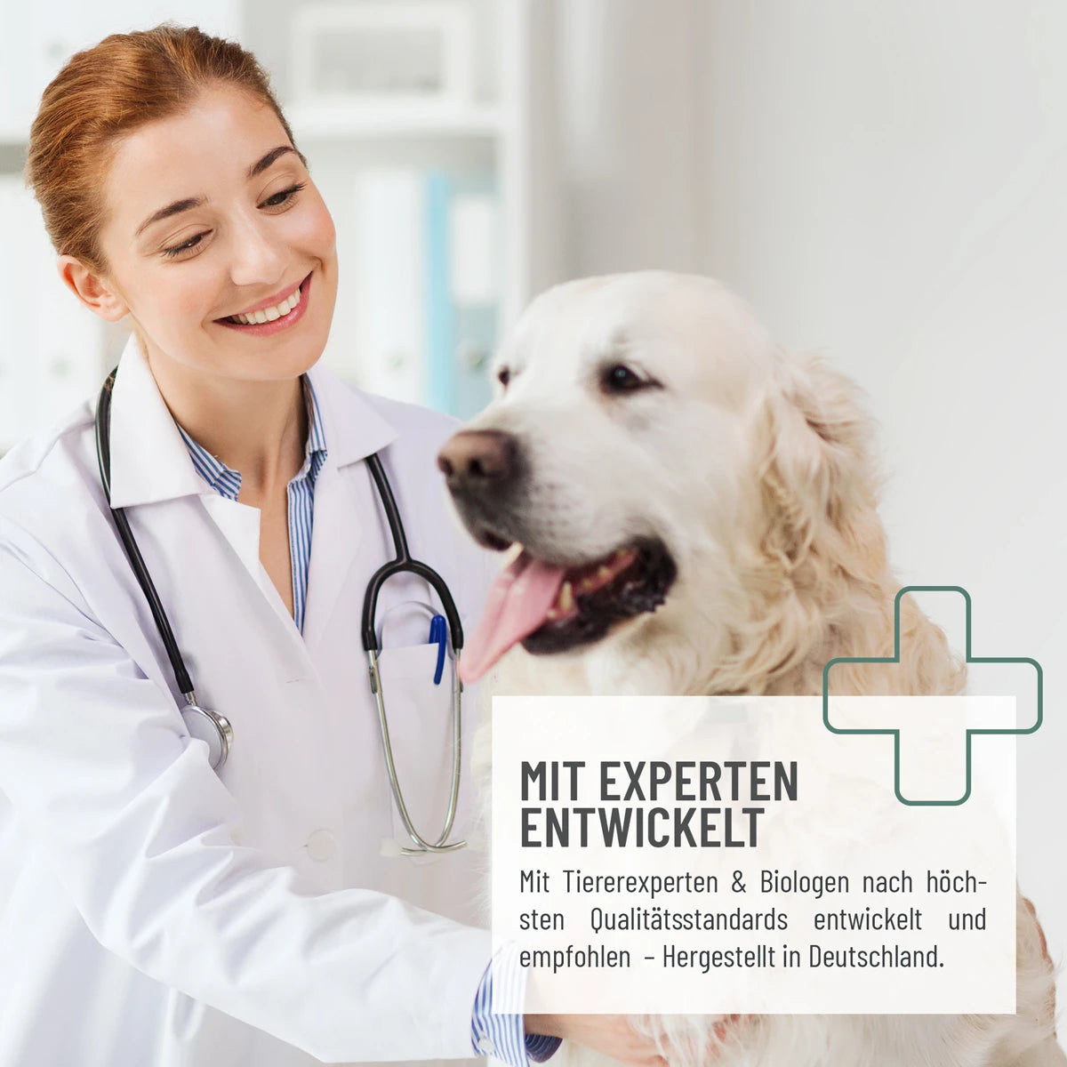 ReaVet-Arthro-Gelenköl-Mood