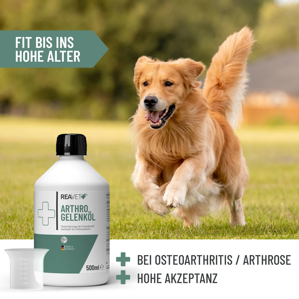 ReaVet-Arthro-Gelenköl-Info