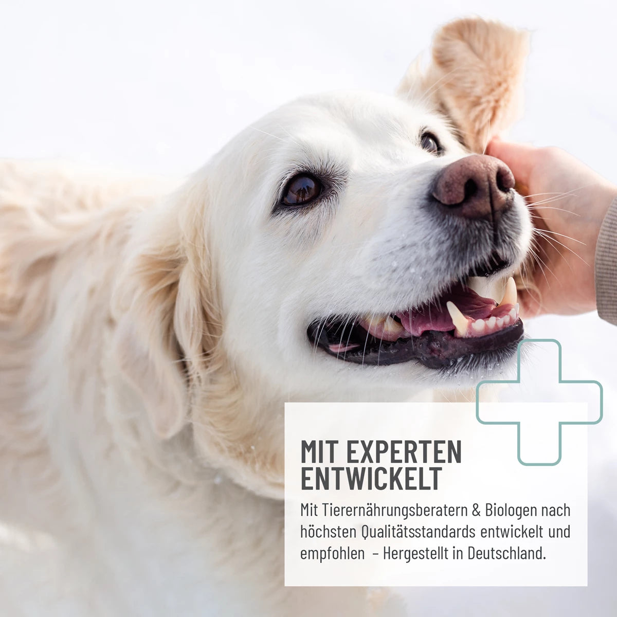 ReaVET-Augenpflege-Liquid-100ml-Mood
