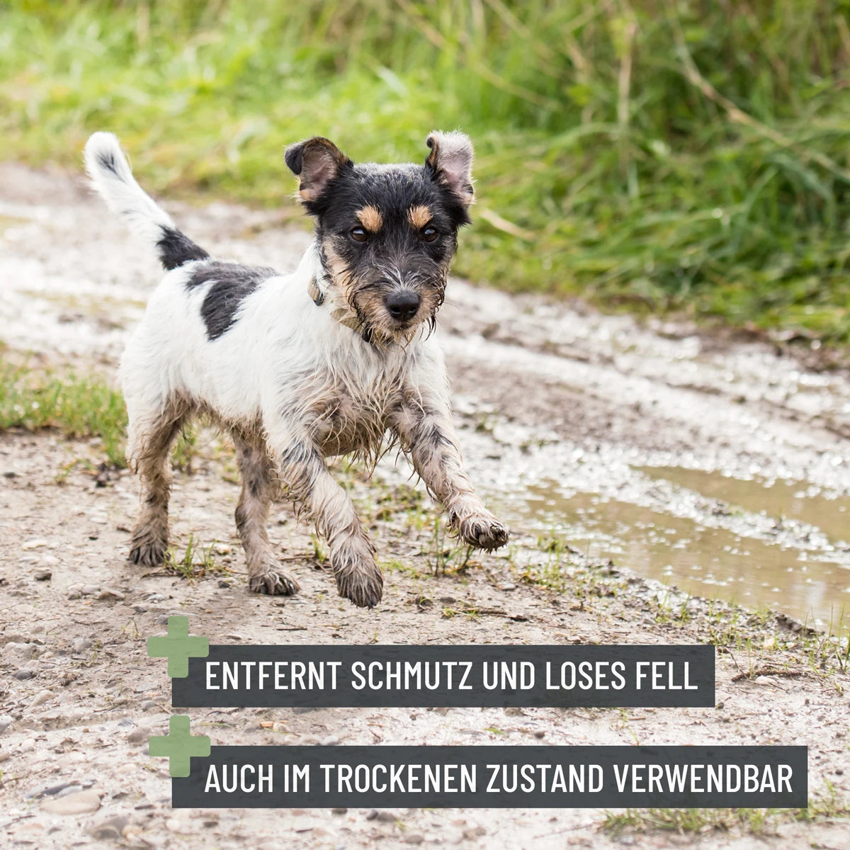 ReaVet-Badebürste-Mood2