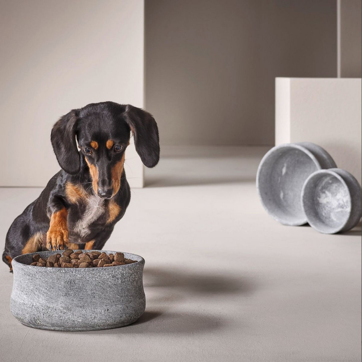 Hundenapf Rocky