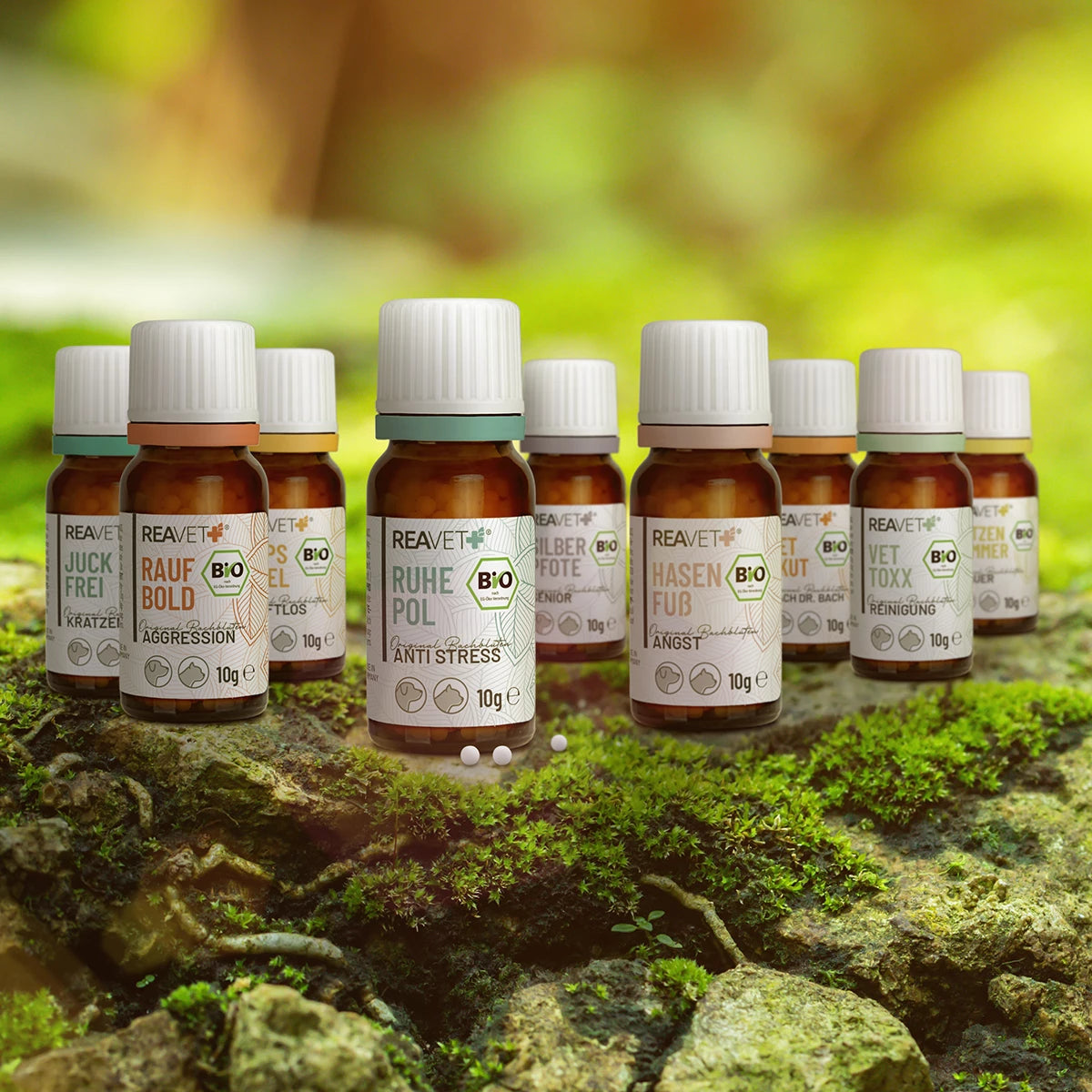 BIO Bachblüten Globuli - Vet Toxx